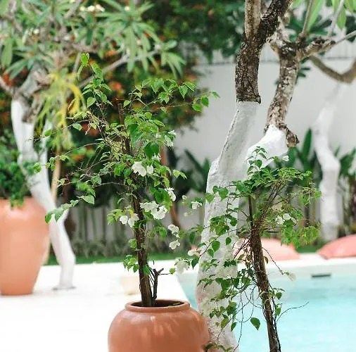Villa Diola 3 Canggu (Bali)